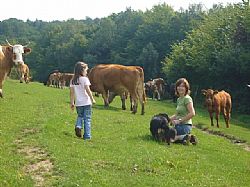 le bonheur est avec nos animaux